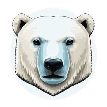 Polar Bear Head PNG Transparent Images Free Download | Vector Files ...