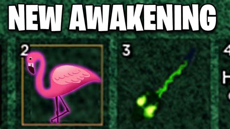 Best Awakening FLAMINGO Blox Fruits YouTube