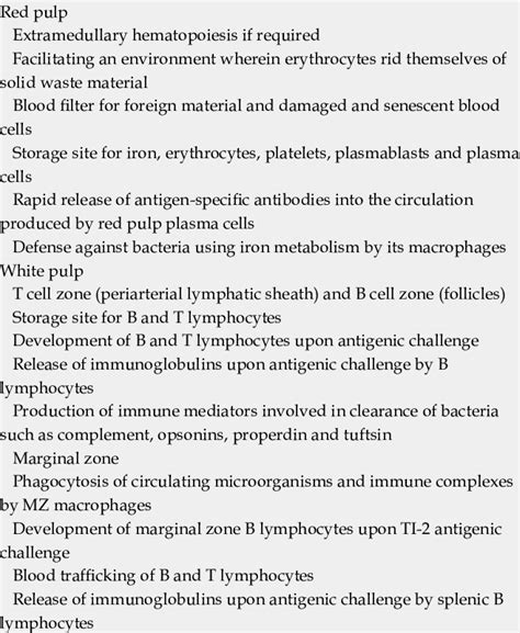 Function of the spleen | Download Table