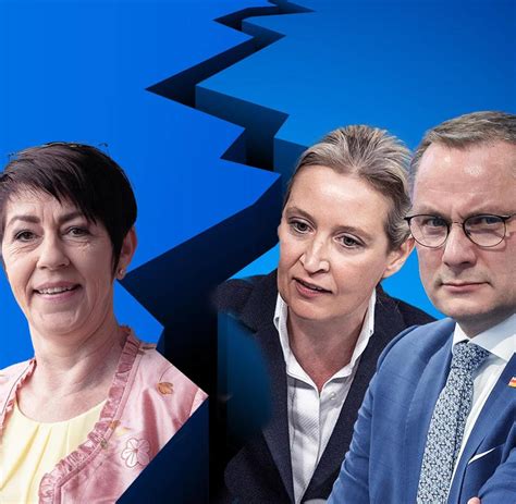 Weidel Und Chrupalla Verärgert Europa Afd Ignoriert Parteispitze Und