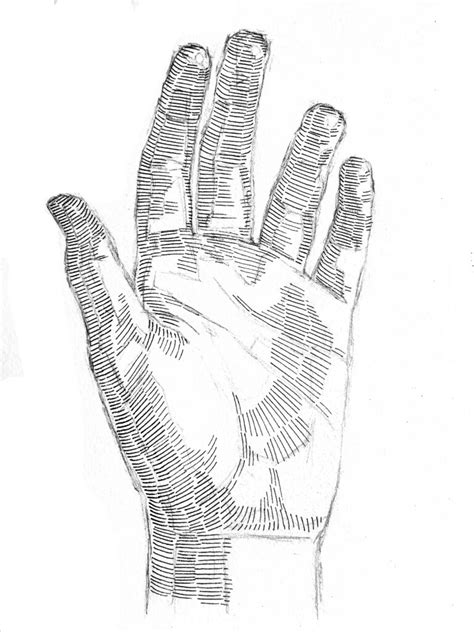 Crosshatching How To Draw A Hand Artists And Illustrators