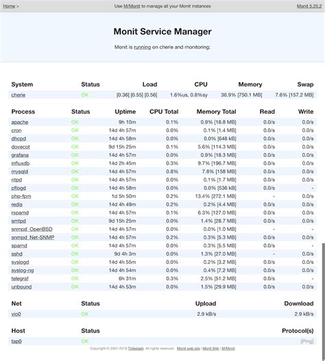 TuM'Fatig - Theming Monit with Apache ProxyPass