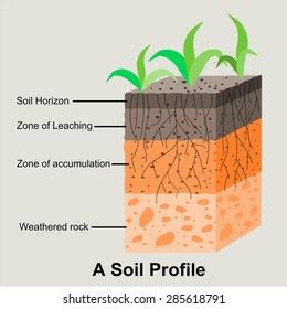 Soil Formation Steps