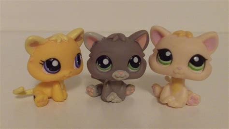 Lps My 3 New Kittens D By Lpsbiglittleallstars On Deviantart