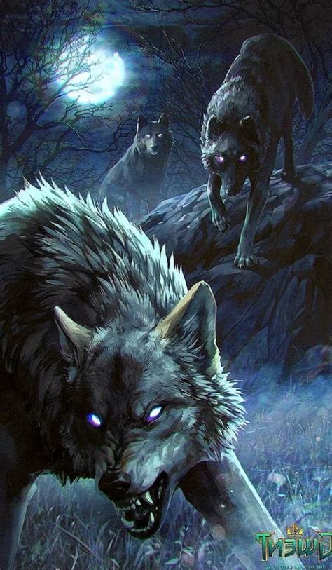 Wolf Wallpapers Beasts Wolf Wallpaperspro