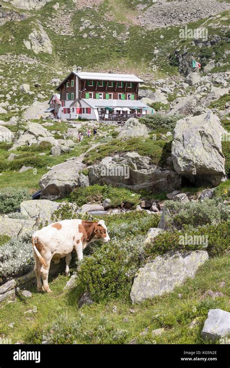 Zamboni Zappa Refugio Y Monte Rosa Fotografías E Imágenes De Alta