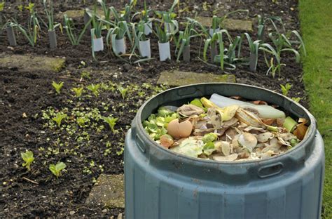 How To Set Up A Compost Bin At Home At Doyle Coffman Blog