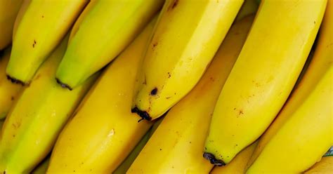 5 usos incríveis para a casca de banana que você não sabia Não jogue