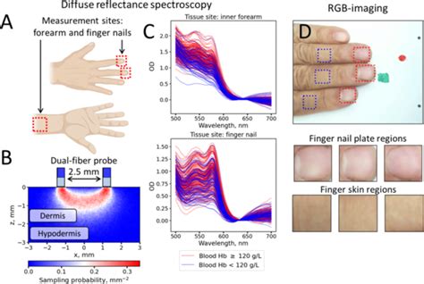 Diffuse Reflectance Spectroscopy And Rgb Imaging A Comparative Study