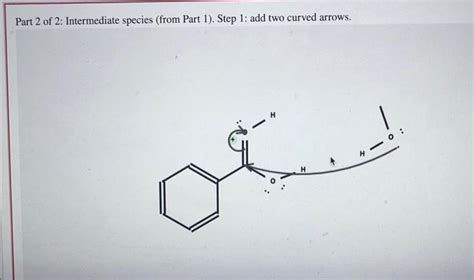 Solved Examination Of The Fischer Esterification Mechanism Chegg