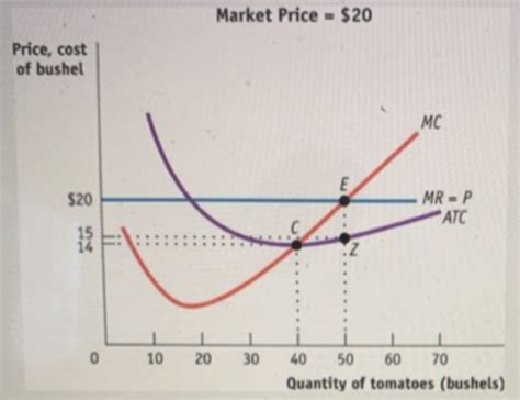 Ap Microeconomic Practice Flashcards Quizlet