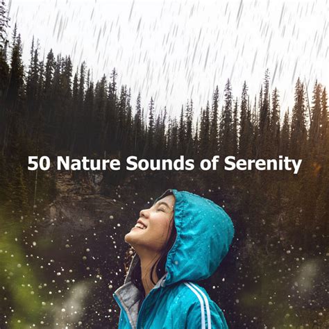 Nature Sounds Of Serenity Album By Rainforest Sounds Spotify