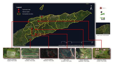 Agroforestry Model In Timor Leste