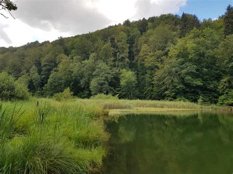 Höhenweg Heitersberg - Routes for Walking and Hiking | Komoot