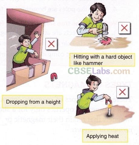 Fun With Magnets Class Notes Science Chapter Learn Cbse