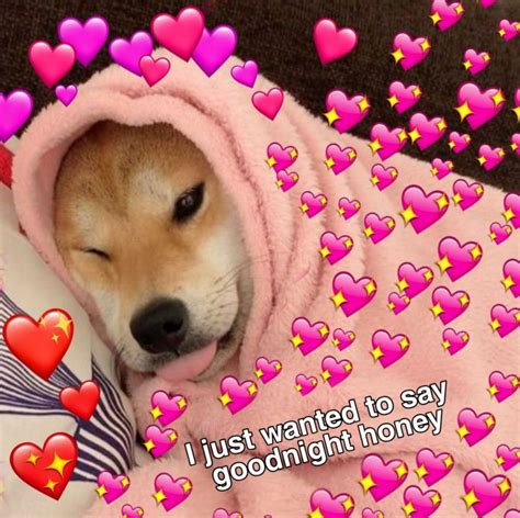 I just wanted to set goodnight | Cute love memes, Goodnight cute, Cute memes