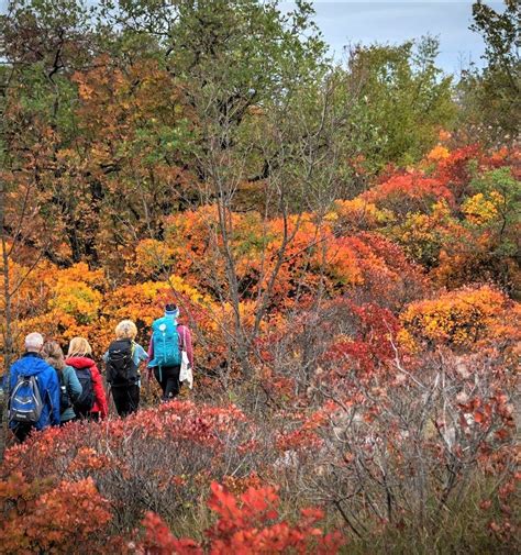 Trekking Tra I Colori Autunnali Pietre E Vigneti Del Carso Triestino