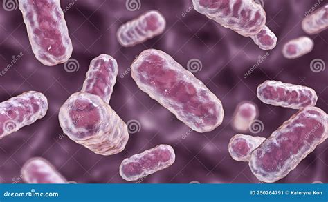 Bacterias Enterobacter Gramnegativo Bacteria Rodforme Parte Del