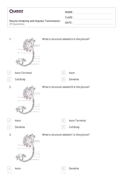 The Nervous And Endocrine Systems Worksheets For Th Class On