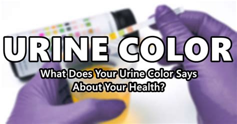 URINE COLOR - What Does Your Urine Color Says About Your Health?