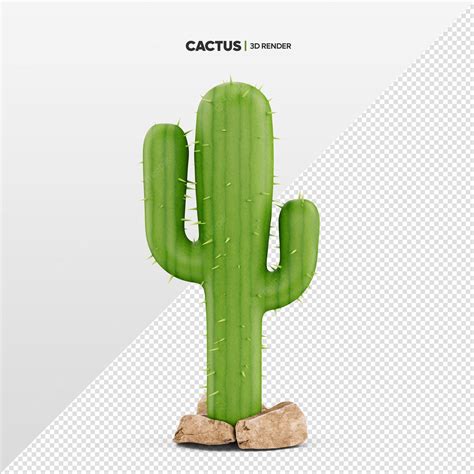 Premium Psd Realistic Cactus 3d Render Isolated For Composition