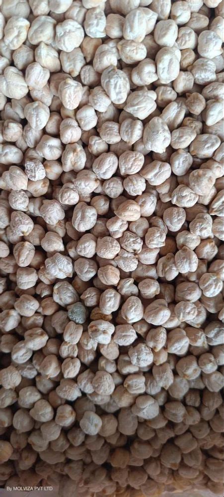 Kabuli Chana Packaging Type Bag At Best Price In Surat Id