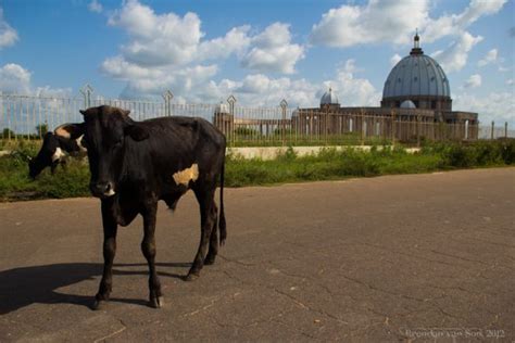 Photos of a Church - Yamoussoukro Basilica, Cote d'Ivoire