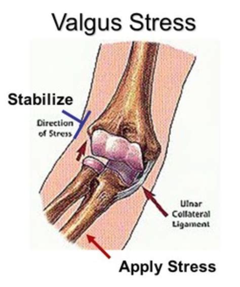 Elbow Varus Stress Test