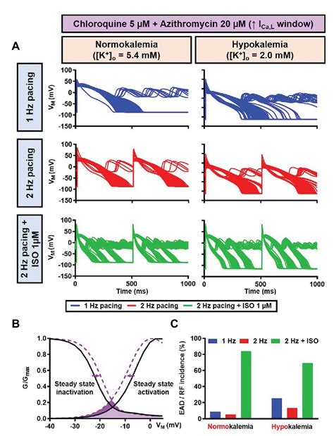 Frontiers Beta Adrenergic Receptor Stimulation Modulates The Cellular