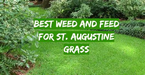 Top 5 Best Weed And Feed For St Augustine Grass November 2023 Review Grass Killer