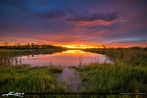 Florida Landscape Sunset Over Canal Wetlands