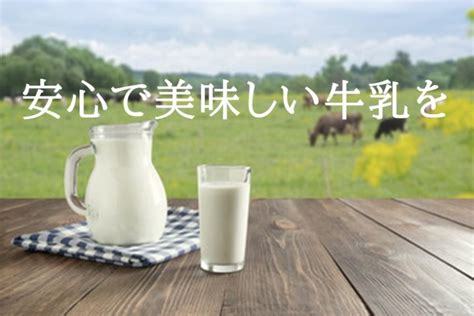 牛乳の種類とおすすめ【安全でおいしい牛乳を選ぶ5つのポイント】 食事改善ノート