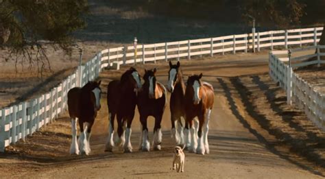 New Budweiser Commercial Celebrates Bars & Restaurants Reopening