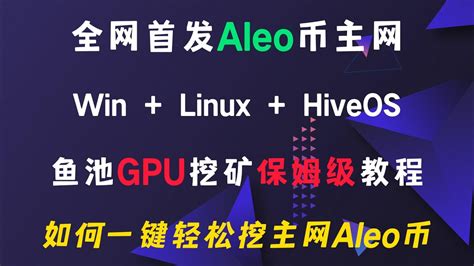 全网首发Aleo币主网 Win Linux HiveOS平台鱼池F2PoolGPU一键轻松挖矿保姆级教程 YouTube