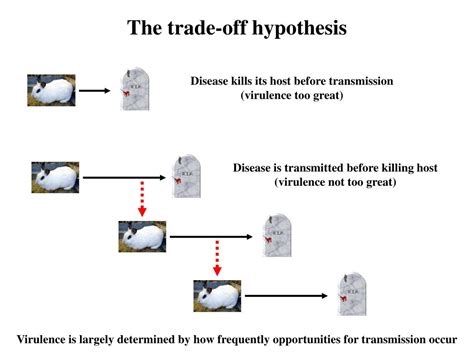 Ppt The Evolution Of Infectious Disease Powerpoint Presentation Free