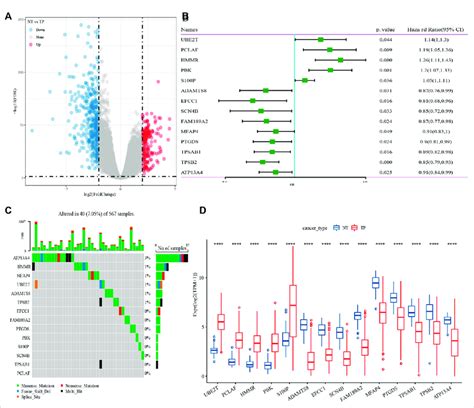 Identification Of Genes Closely Related To Cuproptosis Related Gene