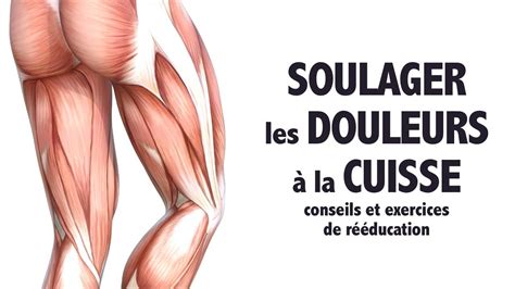 Soulager Les Douleurs La Cuisse Conseils Et Exercices Pour Des