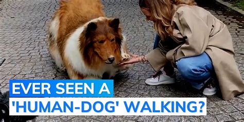 Video: Japanese man who turned himself into a dog takes first walk in ...