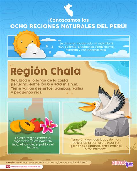 Regiones Naturales Infograf As Antropolog A Social Studocu