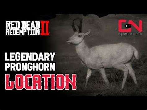 Red Dead Redemption 2 - Legendary Pronghorn Location | Game Action