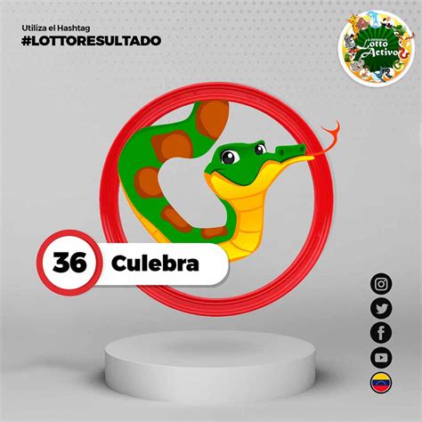 Resultados Lotto Activo Y La Granjita En Vivo Hoy Mi Rcoles De