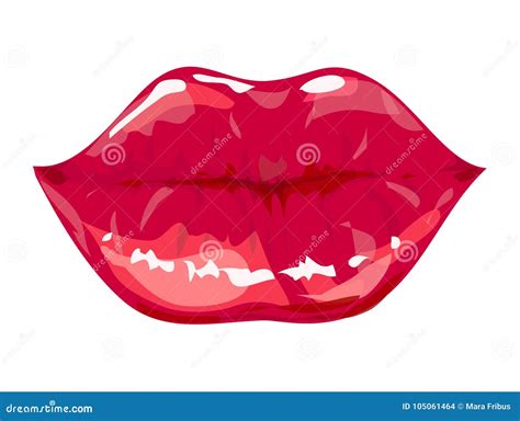 Woman Lips Vector Illustration Stock Vector Illustration Of Beauty