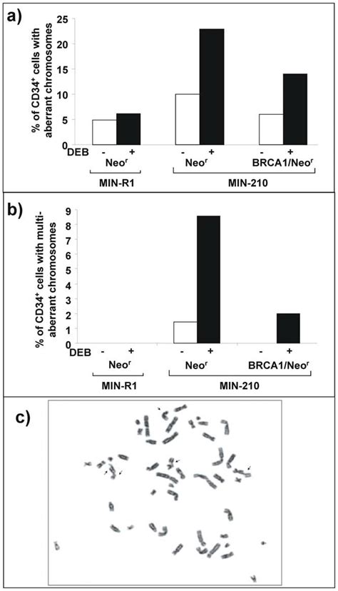 The Ectopic Expression Of Brca Reverts The Generation Of Chromosomal