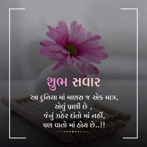 Latest Good Morning Gujarati Suvichar Gujarati Suvichar Good Morning