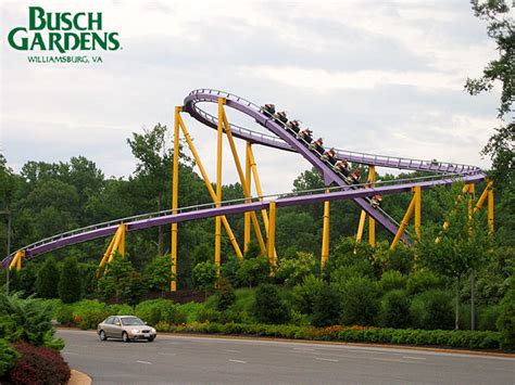 JMU Alumni Association - Hampton Roads, VA: Family Day at Busch Gardens