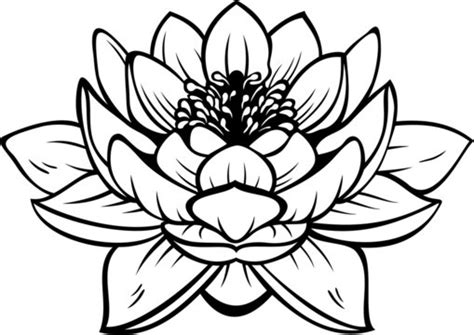 Free Printable Lotus Flower Stencils | Best Flower Site