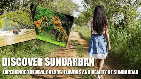 Sundarban Tour By Sundarban Mondal Travels Best Sundarban Tour