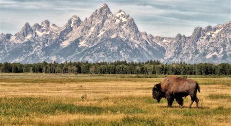 Hike, fish and camp at Grand Teton National Park: | Visit The USA