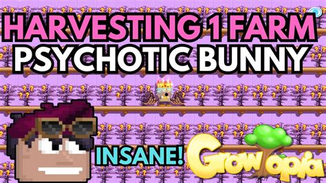 Harvesting Psychotic Bunny Trees Omg Growtopia Profit