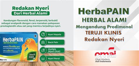 nyeri setelah vaksinasi omai herbapain redakan nyeri  bahan alami